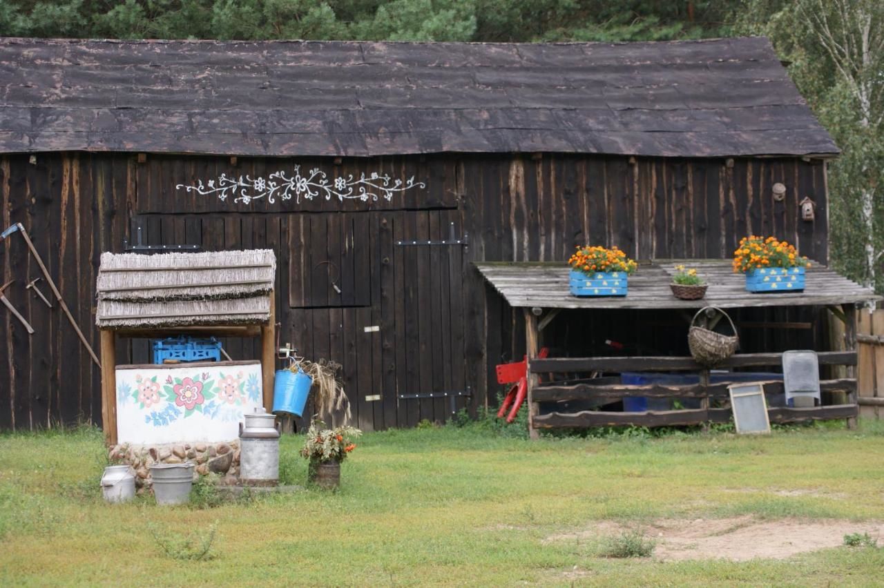 Фермерские дома Zagroda Zalipie Гостынин-24